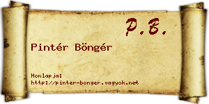 Pintér Böngér névjegykártya